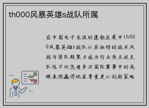 th000风暴英雄s战队所属