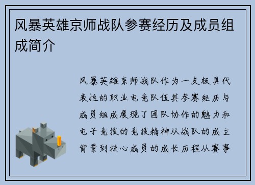 风暴英雄京师战队参赛经历及成员组成简介
