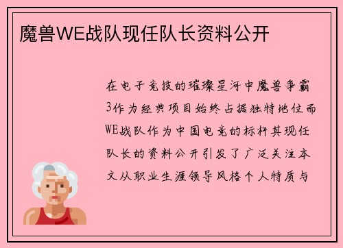 魔兽WE战队现任队长资料公开