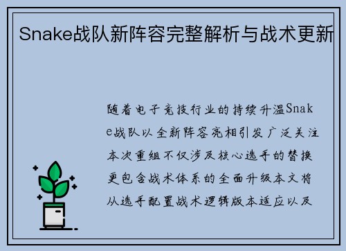 Snake战队新阵容完整解析与战术更新